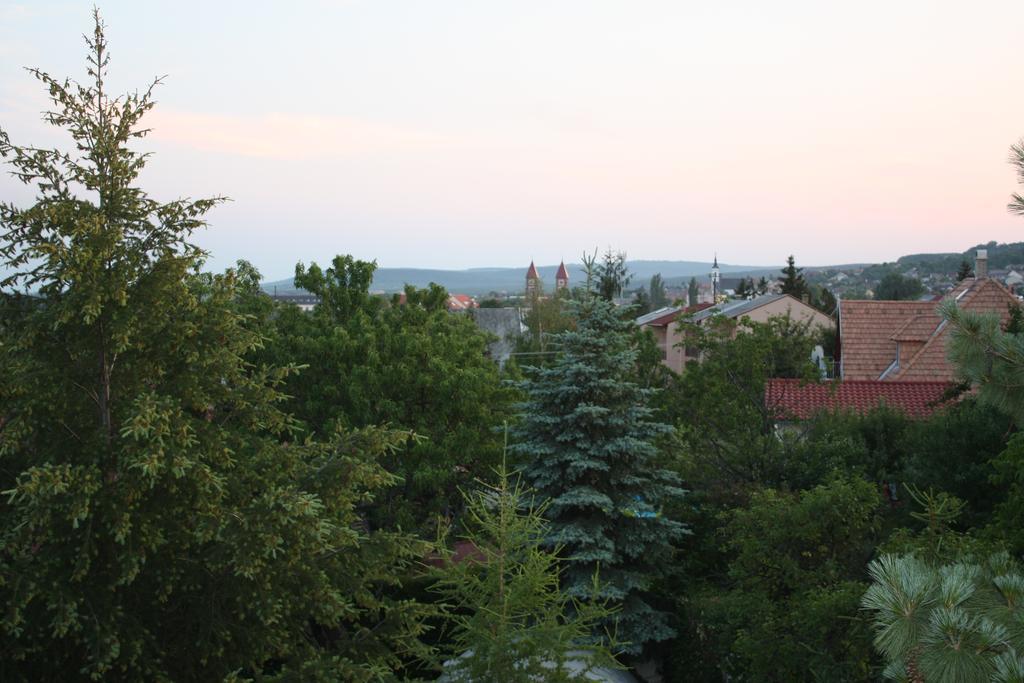 Barcza Vendégház Balatonfüred Exterior foto